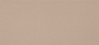 Shitake Polished 2cm jumbo slab