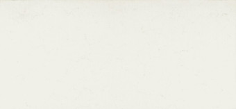 Frosty Carrina 2cm P jumbo slab CSF