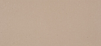 Shitake Polished 2cm